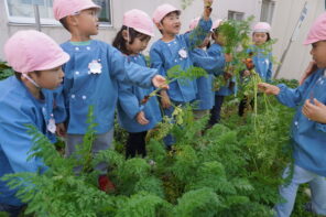 「「よい子の農園」でニンジンを収穫したよ！」の画像