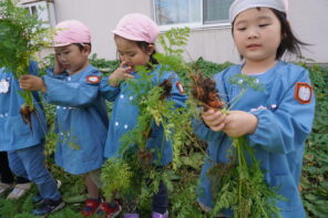 「「よい子の農園」でニンジンを収穫したよ！」の画像