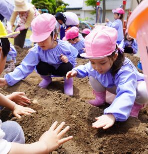 「『ジャガイモ』を植えました！たくさん取れるといいな♪」の画像