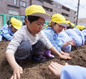「『ジャガイモ』を植えました！たくさん取れるといいな♪」の画像