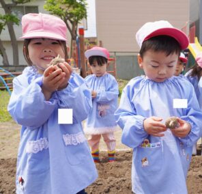 「『ジャガイモ』を植えました！たくさん取れるといいな♪」の画像
