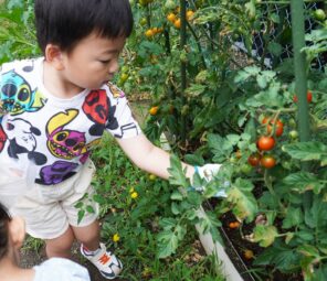 「夏休み！「うさぎのお世話」を頑張ります！その②」の画像