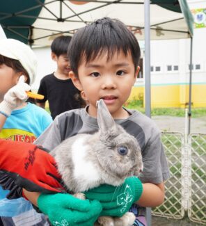 「夏休み！「うさぎのお世話」を頑張ります！その②」の画像
