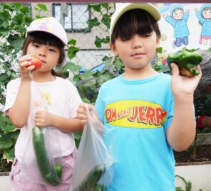 「夏休み！「うさぎのお世話」を頑張ります！その②」の画像