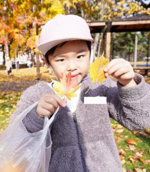 「落ち葉ひろいに行きましたよ！」の画像