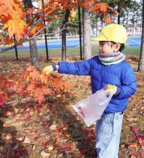 「落ち葉ひろいに行きましたよ！」の画像