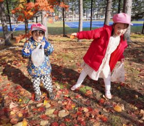 「落ち葉ひろいに行きましたよ！」の画像