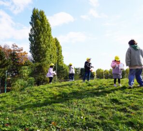 「落ち葉ひろいに行きましたよ！」の画像