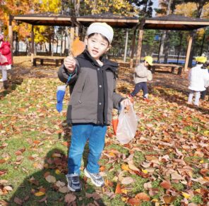 「落ち葉ひろいに行きましたよ！」の画像